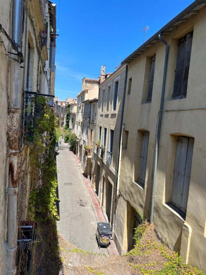 Au Cœur De L’écusson Montpellier