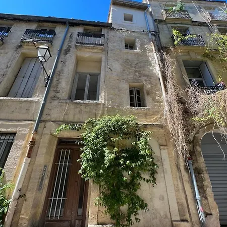 Charmant studio au cœur de l’écusson Montpellier Extérieur photo