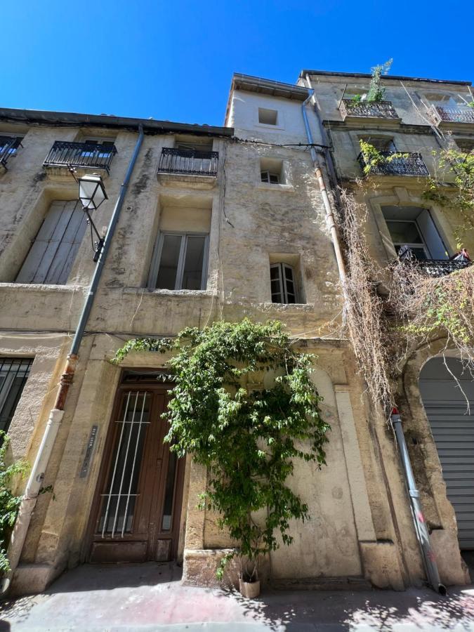 Au Coeur De L'ecusson Montpellier